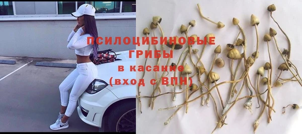 2c-b Дмитров
