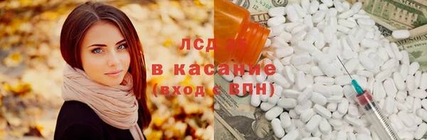 прущие грибы Дмитриев