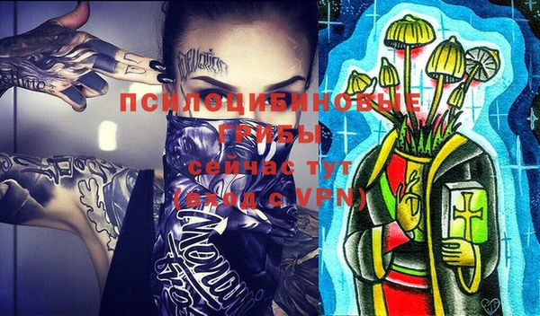 винт Гусев