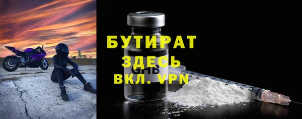 прущие грибы Дмитриев