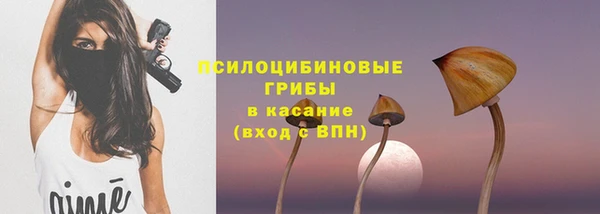 2c-b Дмитров