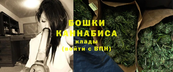 прущие грибы Дмитриев