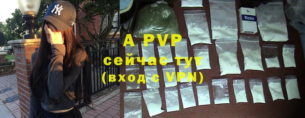 прущие грибы Дмитриев