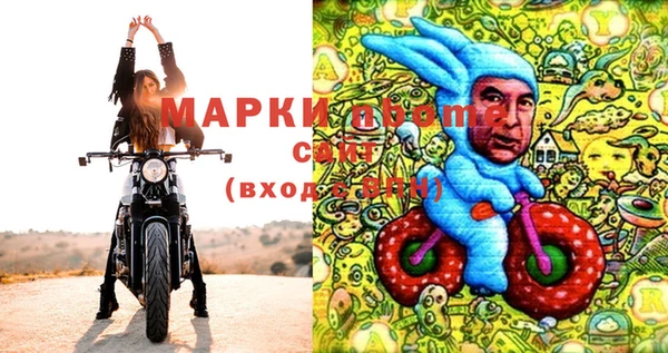 прущие грибы Дмитриев