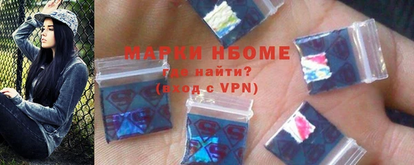прущие грибы Дмитриев