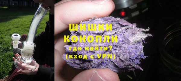 прущие грибы Дмитриев