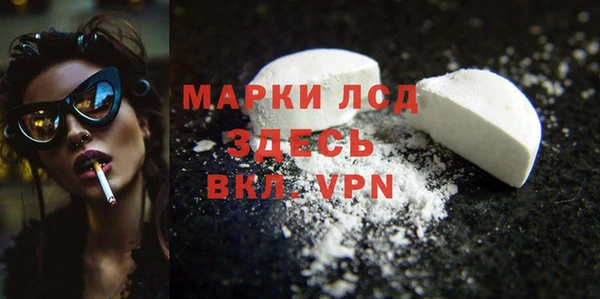прущие грибы Дмитриев