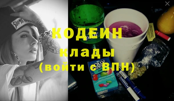 прущие грибы Дмитриев